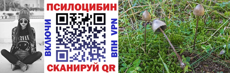 Галлюциногенные грибы прущие грибы  ссылка на мегу ссылка  Няндома 